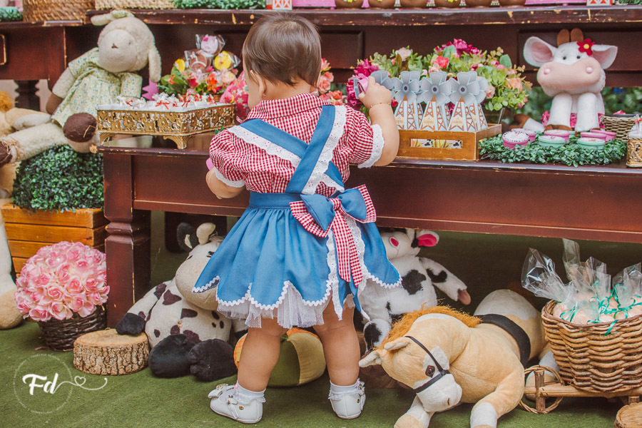 franciele duailibi photography; 
fotografia de festa infantil;
festa infantil campo grande;
campo grande;
fotografia;
decoração de festa;
buffet infantil campo grande;
fotografa de criança;
fotos de aniversario;
franciele duailibi;
fotografo de festa cg