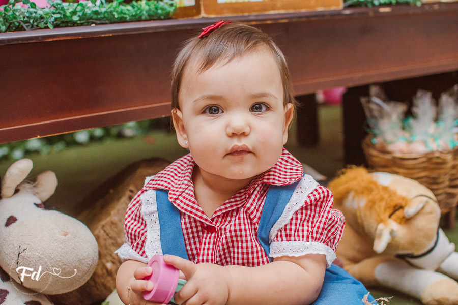 franciele duailibi photography; 
fotografia de festa infantil;
festa infantil campo grande;
campo grande;
fotografia;
decoração de festa;
buffet infantil campo grande;
fotografa de criança;
fotos de aniversario;
franciele duailibi;
fotografo de festa cg