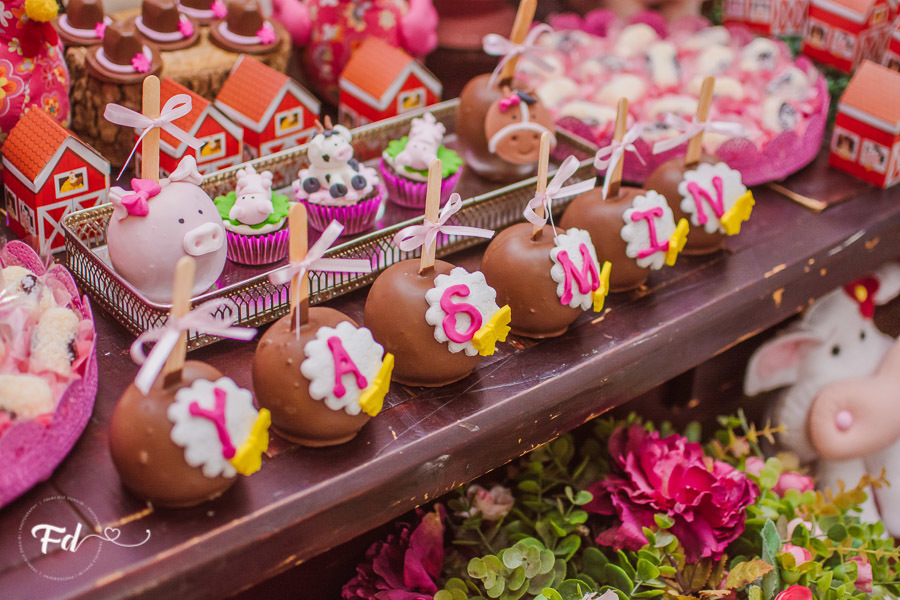 franciele duailibi photography; 
fotografia de festa infantil;
festa infantil campo grande;
campo grande;
fotografia;
decoração de festa;
buffet infantil campo grande;
fotografa de criança;
fotos de aniversario;
franciele duailibi;
fotografo de festa cg