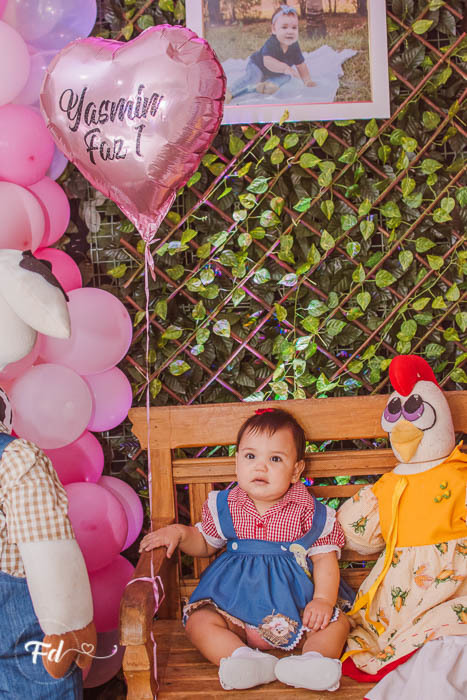 franciele duailibi photography; 
fotografia de festa infantil;
festa infantil campo grande;
campo grande;
fotografia;
decoração de festa;
buffet infantil campo grande;
fotografa de criança;
fotos de aniversario;
franciele duailibi;
fotografo de festa cg