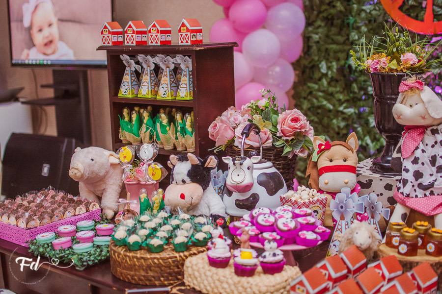 franciele duailibi photography; 
fotografia de festa infantil;
festa infantil campo grande;
campo grande;
fotografia;
decoração de festa;
buffet infantil campo grande;
fotografa de criança;
fotos de aniversario;
franciele duailibi;
fotografo de festa cg