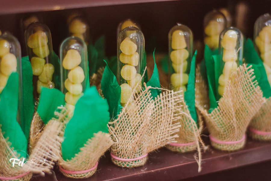 franciele duailibi photography; 
fotografia de festa infantil;
festa infantil campo grande;
campo grande;
fotografia;
decoração de festa;
buffet infantil campo grande;
fotografa de criança;
fotos de aniversario;
franciele duailibi;
fotografo de festa cg