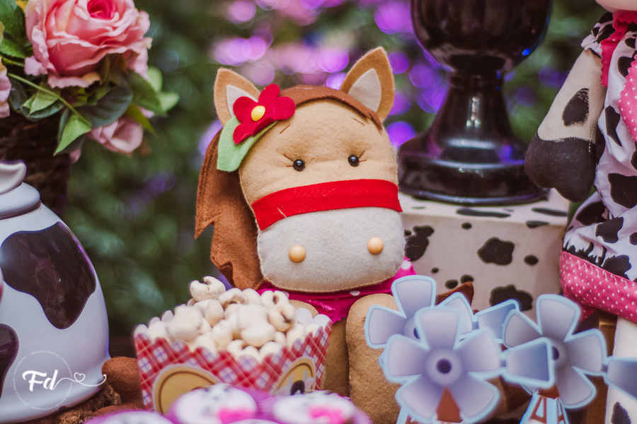 franciele duailibi photography; 
fotografia de festa infantil;
festa infantil campo grande;
campo grande;
fotografia;
decoração de festa;
buffet infantil campo grande;
fotografa de criança;
fotos de aniversario;
franciele duailibi;
fotografo de festa cg