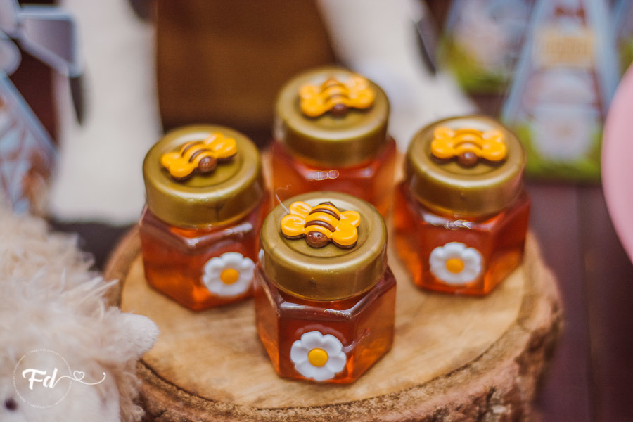 franciele duailibi photography; 
fotografia de festa infantil;
festa infantil campo grande;
campo grande;
fotografia;
decoração de festa;
buffet infantil campo grande;
fotografa de criança;
fotos de aniversario;
franciele duailibi;
fotografo de festa cg