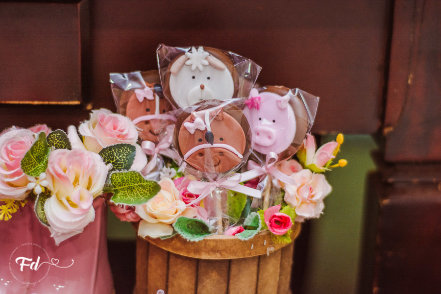 franciele duailibi photography; 
fotografia de festa infantil;
festa infantil campo grande;
campo grande;
fotografia;
decoração de festa;
buffet infantil campo grande;
fotografa de criança;
fotos de aniversario;
franciele duailibi;
fotografo de festa cg