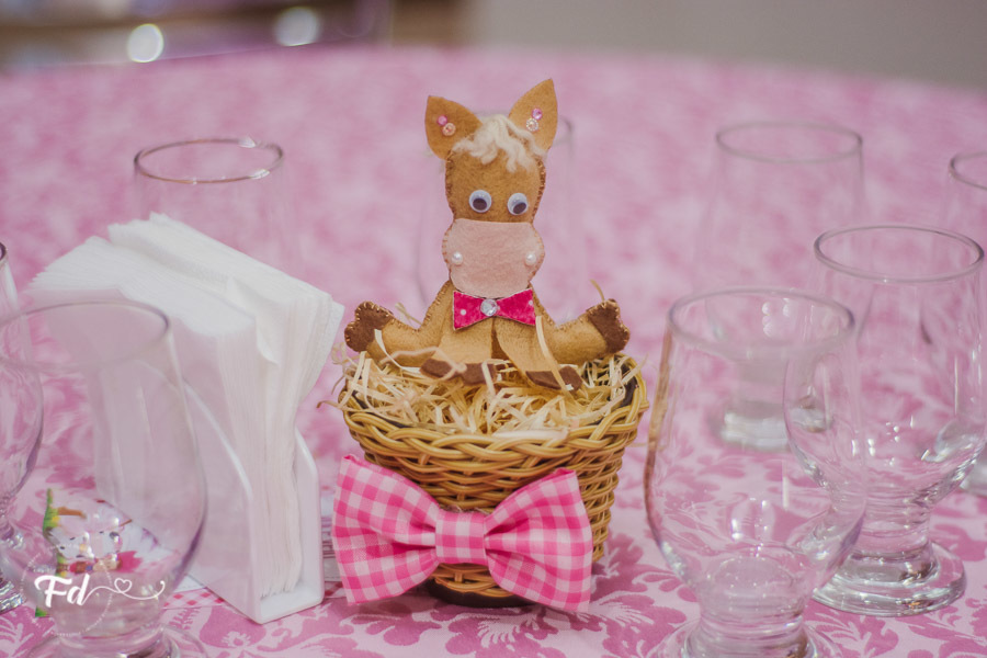 franciele duailibi photography; 
;fotografo de festa infantil campo grande
campo grande;
fotografia;
decoração de festa;
buffet infantil campo grande;
fotografa de criança;
fotos de aniversario;
franciele duailibi;
fotografo de festa cg