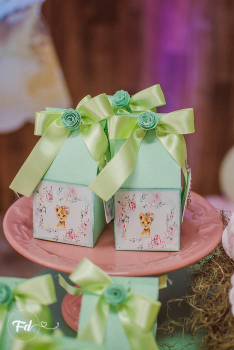 franciele duailibi photography; 
fotografia de festa infantil;
festa infantil campo grande;
campo grande;
fotografia;
decoração de festa;
buffet infantil campo grande;
fotografa de criança;
fotos de aniversario;
franciele duailibi;
fotografo de festa cg