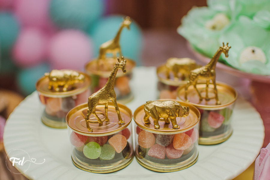 franciele duailibi photography; 
fotografia de festa infantil;
festa infantil campo grande;
campo grande;
fotografia;
decoração de festa;
buffet infantil campo grande;
fotografa de criança;
fotos de aniversario;
franciele duailibi;
fotografo de festa cg