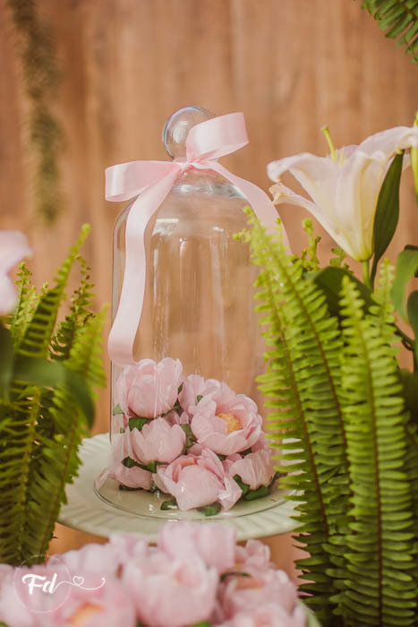 franciele duailibi photography; 
fotografia de festa infantil;
festa infantil campo grande;
campo grande;
fotografia;
decoração de festa;
buffet infantil campo grande;
fotografa de criança;
fotos de aniversario;
franciele duailibi;
fotografo de festa cg