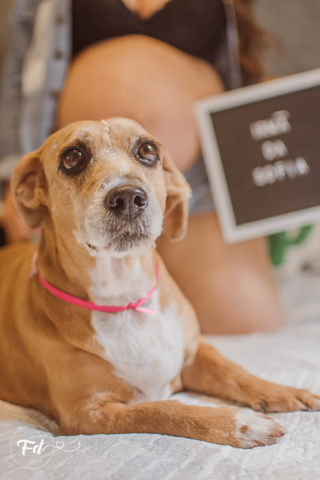 franciele duailibi photography; 
fotografia de gestante cg
fotografia de parto campo grande;
fotografia de gravida;
maternidade;  gravida em campo grande
fotos de nascimento;
franciele duailibi;
fotografo de parto cg; quartinho de bebe ; gravida em casa