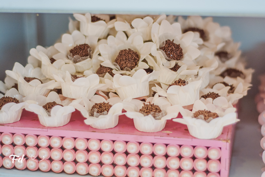 franciele duailibi photography; 
fotografia de festa infantil campo grande; fotografo em campo grande;
fotografo cg;
decoração de festa infantil ; decoração de nuvem
festa infantil campo grande
fotos de aniversario infantil;
fotografo de festa cg, festa