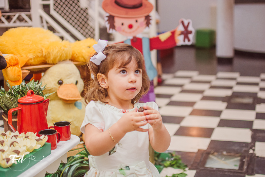 franciele duailibi photography; 
fotografia de festa infantil campo grande; fotografo em campo grande;
fotografo cg;
decoração de festa infantil ; decoração fazendinha
festa infantil campo grande
fotos de aniversario infantil;
fotografo de festa cg, festa