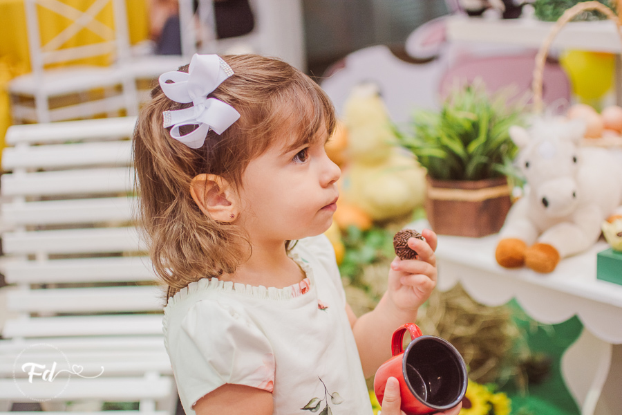 franciele duailibi photography; 
fotografia de festa infantil campo grande; fotografo em campo grande;
fotografo cg;
decoração de festa infantil ; decoração fazendinha
festa infantil campo grande
fotos de aniversario infantil;
fotografo de festa cg, festa