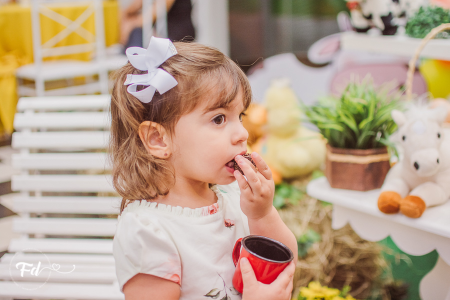 franciele duailibi photography; 
fotografia de festa infantil campo grande; fotografo em campo grande;
fotografo cg;
decoração de festa infantil ; decoração fazendinha
festa infantil campo grande
fotos de aniversario infantil;
fotografo de festa cg, festa