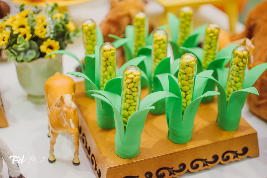 franciele duailibi photography; 
fotografia de festa infantil campo grande; fotografo em campo grande;
fotografo cg;
decoração de festa infantil ; decoração fazendinha
festa infantil campo grande
fotos de aniversario infantil;
fotografo de festa cg, festa