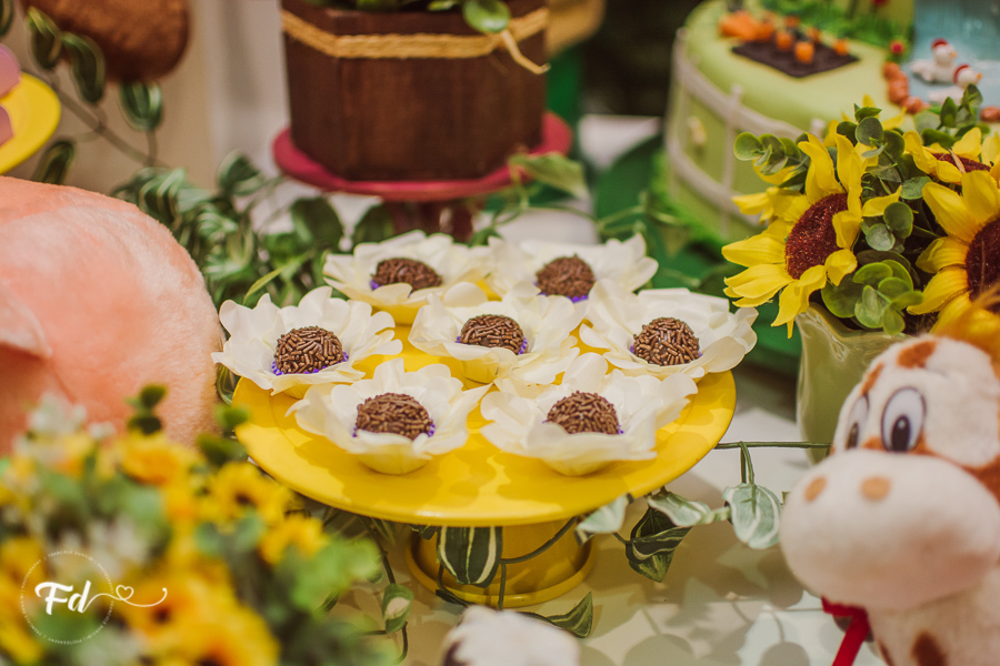 franciele duailibi photography; 
fotografia de festa infantil campo grande; fotografo em campo grande;
fotografo cg;
decoração de festa infantil ; decoração fazendinha
festa infantil campo grande
fotos de aniversario infantil;
fotografo de festa cg, festa