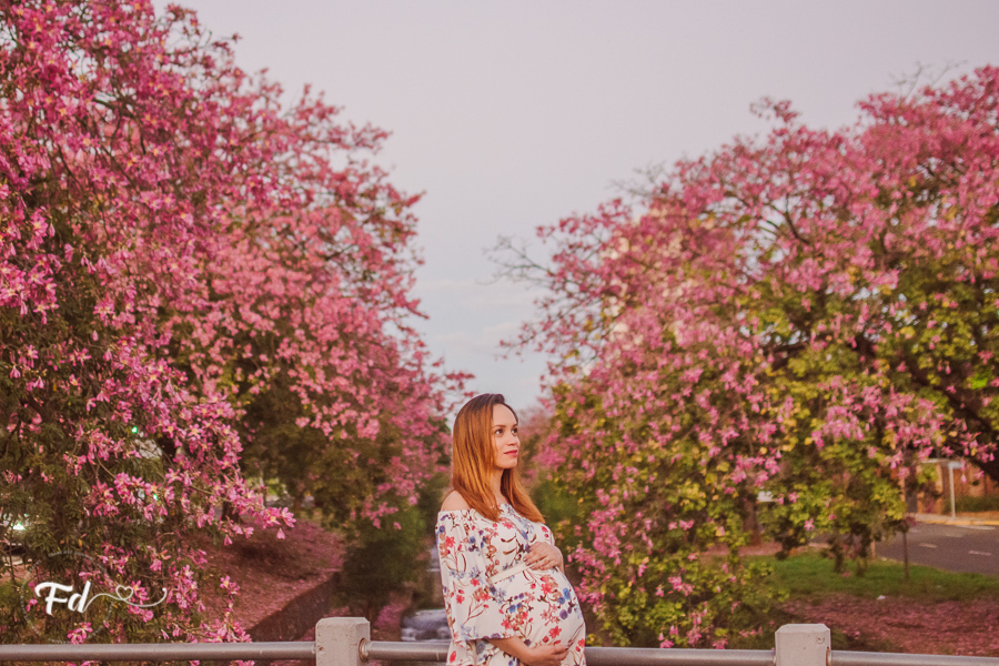 franciele duailibi photography; 
fotos de gestante campo grande;
fotos de gravida;
maternidade;   campo grande; franciele duailibi; ensaio de família; 
fotografo de gestante campo grande; ensaio família campo grande; gravidas cg, fotografa campo grande