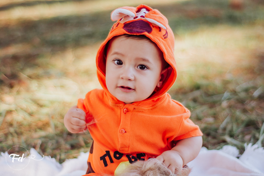 ensaio de acompanhamento de bebe; ensaio fotografico campo grande ; fotografo em campo grande; franciele duailibi photography; acompanhamento de bebe campo grande ; ensaio lifestyle campo grande;  fotos de bebe campo grande ; franciele duailibi; ursinho