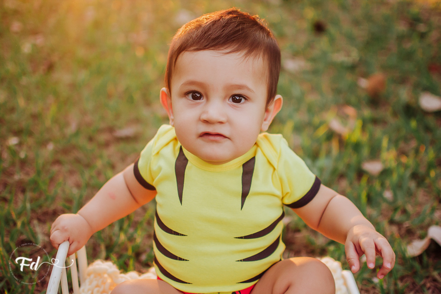 ensaio de acompanhamento de bebe; ensaio fotografico campo grande ; fotografo em campo grande; franciele duailibi photography; acompanhamento campo grande ; ensaio lifestyle campo grande;  fotografo de bebe campo grande ; franciele duailibi; 