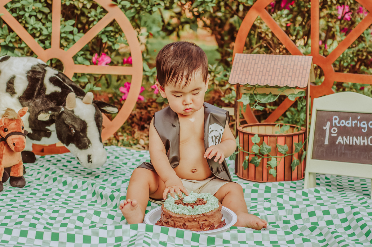 franciele duailibi photography; 
fotografia de família ; fotos de família ; ensaio de bebe ; ensaio smash the cake; ensaio smash the cake em campo grande; ensaio de bebe; fotografa em campo grande; ensaio externo 1 ano; campo grande; fotografo de criança
