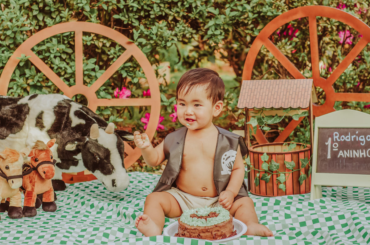 franciele duailibi photography; 
fotografia de família ; fotos de família ; ensaio de bebe ; ensaio smash the cake; ensaio smash the cake em campo grande; ensaio de bebe; fotografa em campo grande; ensaio externo 1 ano; campo grande; fotografo de criança