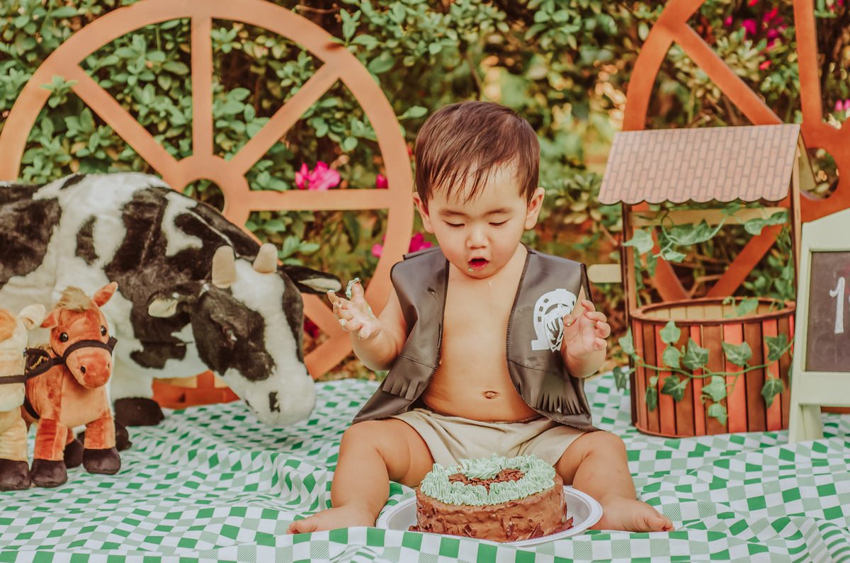 franciele duailibi photography; 
fotografia de família ; fotos de família ; ensaio de bebe ; ensaio smash the cake; ensaio smash the cake em campo grande; ensaio de bebe; fotografa em campo grande; ensaio externo 1 ano; campo grande; fotografo de criança