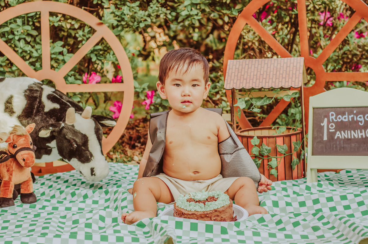 franciele duailibi photography; 
fotografia de família ; fotos de família ; ensaio de bebe ; ensaio smash the cake; ensaio smash the cake em campo grande; ensaio de bebe; fotografa em campo grande; ensaio externo 1 ano; campo grande; fotografo de criança