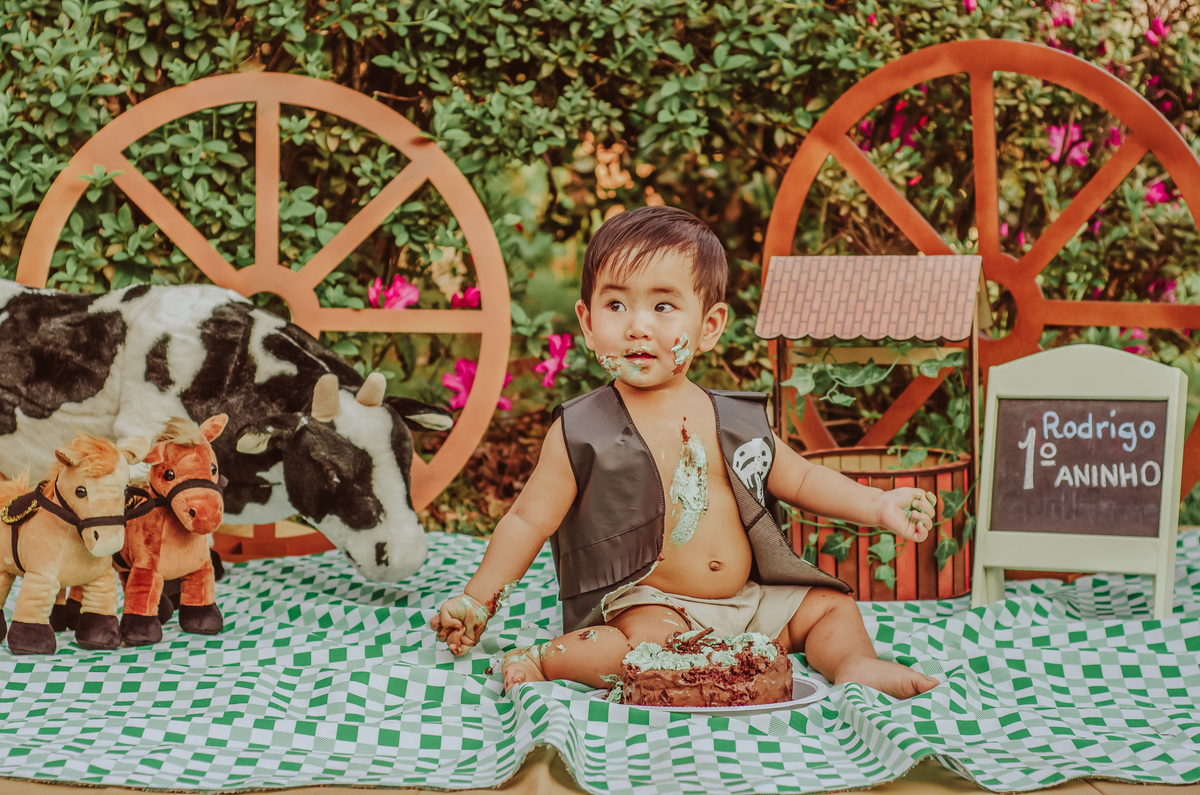 franciele duailibi photography; 
fotografia de família ; fotos de família ; ensaio de bebe ; ensaio smash the cake; ensaio smash the cake em campo grande; ensaio de bebe; fotografa em campo grande; ensaio externo 1 ano; campo grande; fotografo de criança