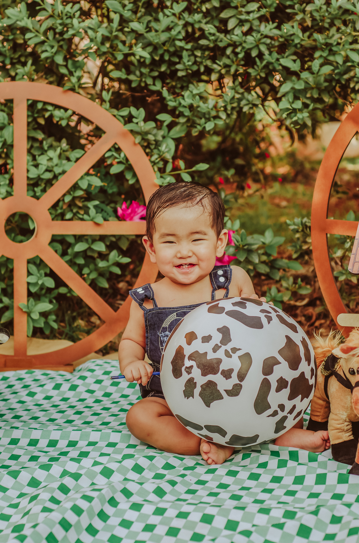 franciele duailibi photography; 
fotografia de família ; fotos de família ; ensaio de bebe ; ensaio smash the cake; ensaio smash the cake em campo grande; ensaio de bebe; fotografa em campo grande; ensaio externo 1 ano; campo grande; fotografo de criança