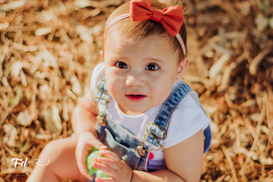 franciele duailibi photography; fotografa campo grande;  fotografia de familia ; ensaio de bebe ; smash the fruit ; smash the cake; smash the fruti campo grande; ensaio de bebe campo grande; ensaio externo 1 ano campo grande ; fotografo de criança; ensaio