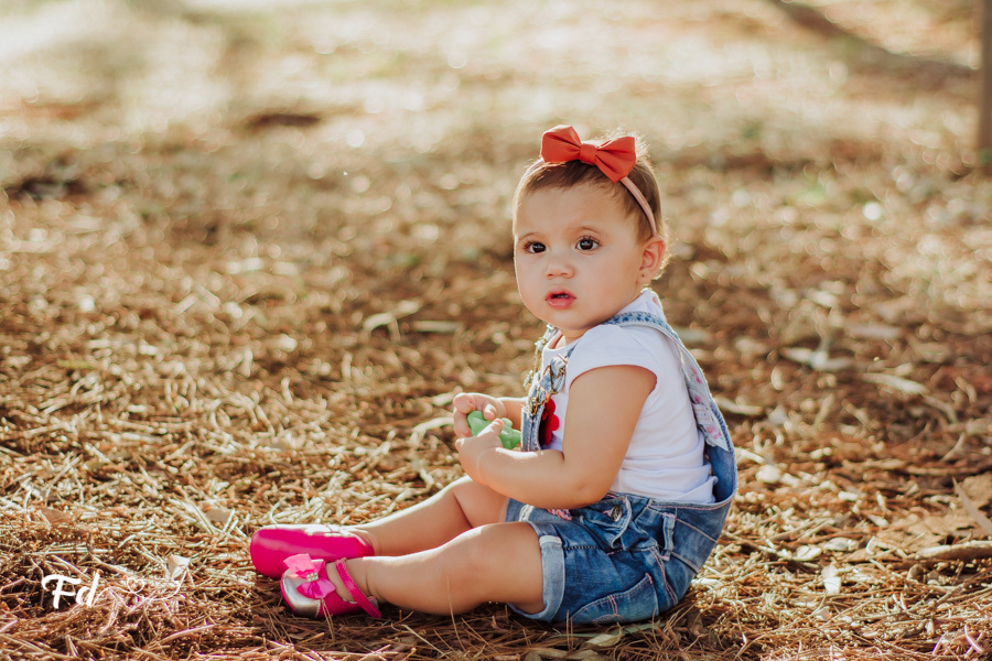 franciele duailibi photography; fotografa campo grande;  fotografia de familia ; ensaio de bebe ; smash the fruit ; smash the cake; smash the fruti campo grande; ensaio de bebe campo grande; ensaio externo 1 ano campo grande ; fotografo de criança; ensaio