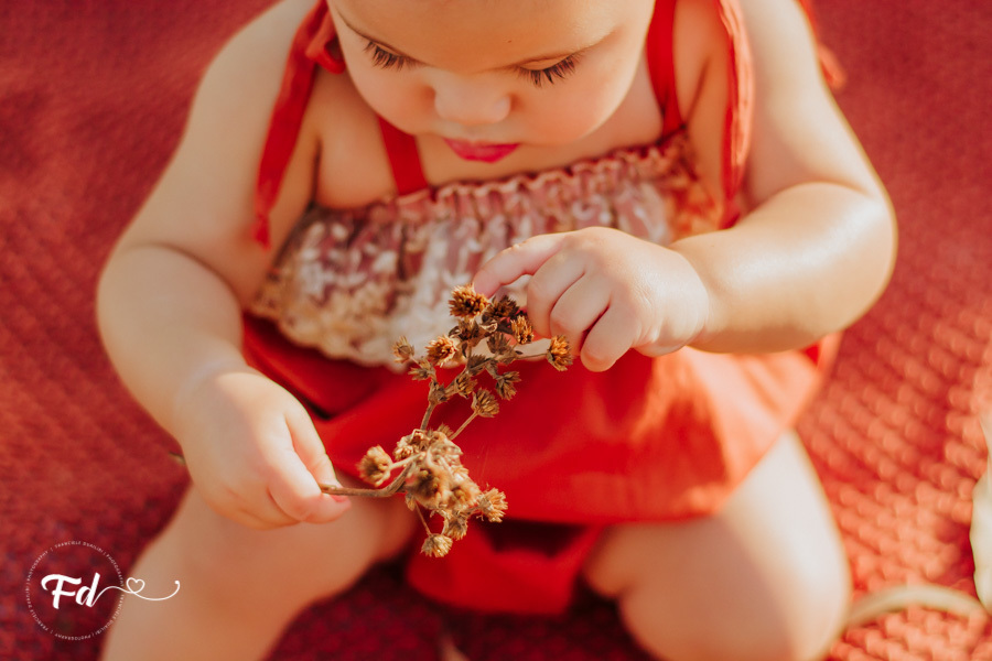 franciele duailibi photography; fotografa campo grande;  fotografia de familia ; ensaio de bebe ; smash the fruit ; smash the cake; smash the fruti campo grande; ensaio de bebe campo grande; ensaio externo 1 ano campo grande ; fotografo de criança; ensaio