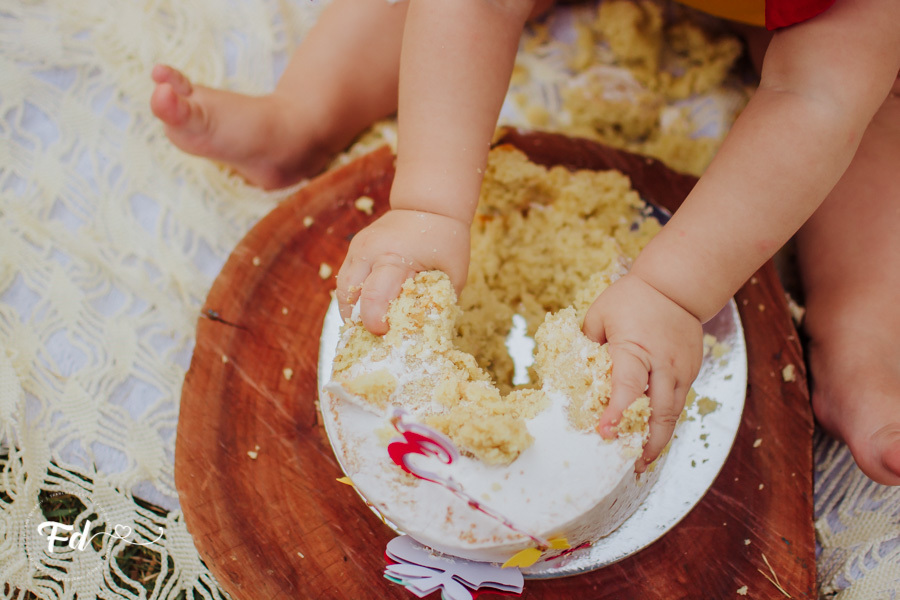 franciele duailibi photography; fotografa campo grande;  fotografia de familia ; ensaio de bebe ; smash the fruit ; smash the cake; smash the fruti campo grande; ensaio de bebe campo grande; ensaio externo 1 ano campo grande ; fotografo de criança; ensaio