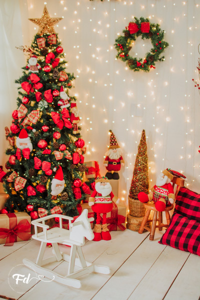 sessao de natal; ensaio de natal; sessão de natal campo grande ; mini sessao; fotos de natal; mini sessao natalina ; campo grande; fotografa em campo grande; sessao no estudio de natal ; franciele duailibi photography; cenario de natal; foto de bebe; 