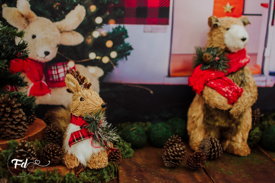 sessao de natal; ensaio de natal; sessão de natal campo grande ; mini sessao; fotos de natal; mini sessao natalina ; campo grande; fotografa em campo grande; sessao no estudio de natal ; franciele duailibi photography; cenario de natal; foto de bebe; 