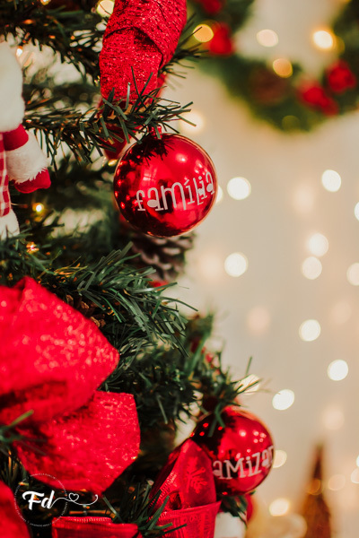 sessao de natal; ensaio de natal; sessão de natal campo grande ; mini sessao; fotos de natal; mini sessao natalina ; campo grande; fotografa em campo grande; sessao no estudio de natal ; franciele duailibi photography; cenario de natal; foto de bebe; 