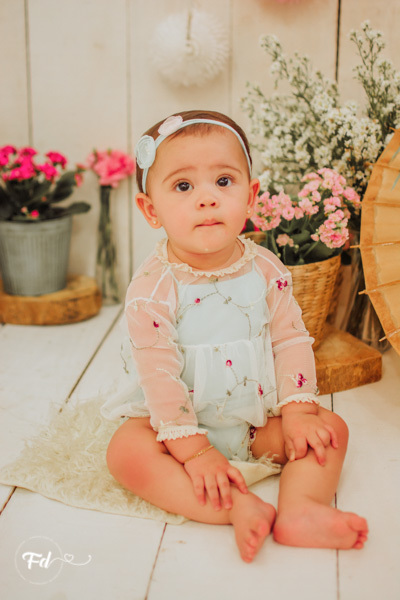 franciele duailibi photography; fotografa campo grande;  fotografia de familia ; ensaio de bebe ; smash the cake; smash the cake campo grande; ensaio de bebe campo grande; ensaio 1 ano campo grande ; fotografo de criança; ensaio estudio; ensaio flores