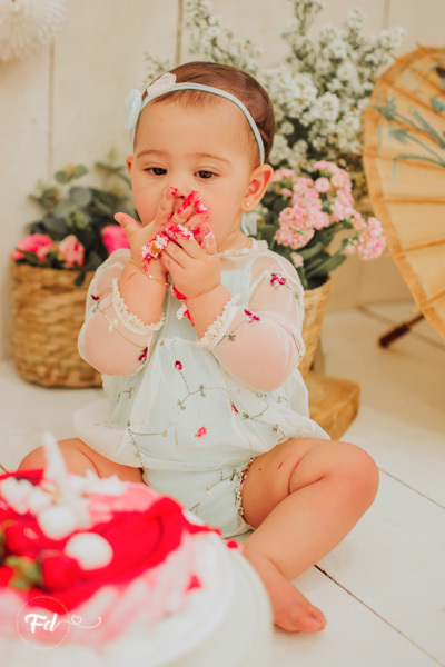 franciele duailibi photography; fotografa campo grande;  fotografia de familia ; ensaio de bebe ; smash the cake; smash the cake campo grande; ensaio de bebe campo grande; ensaio 1 ano campo grande ; fotografo de criança; ensaio estudio; ensaio flores