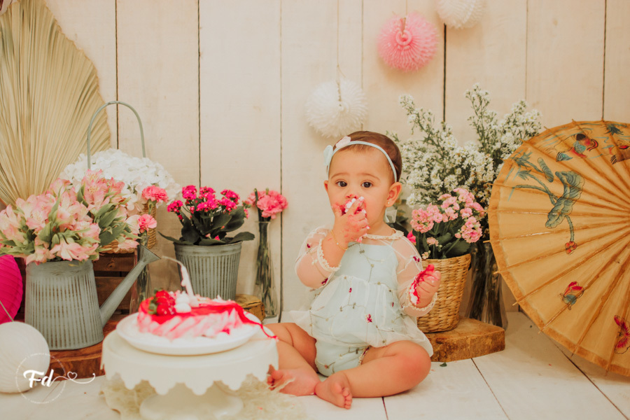 franciele duailibi photography; fotografa campo grande;  fotografia de familia ; ensaio de bebe ; smash the cake; smash the cake campo grande; ensaio de bebe campo grande; ensaio 1 ano campo grande ; fotografo de criança; ensaio estudio; ensaio flores