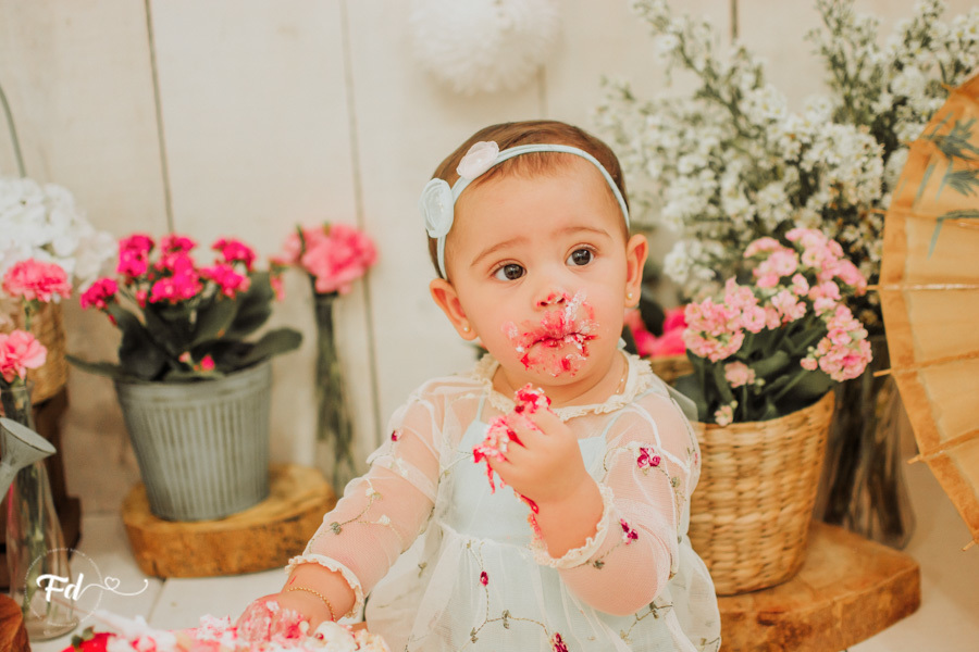 franciele duailibi photography; fotografa campo grande;  fotografia de familia ; ensaio de bebe ; smash the cake; smash the cake campo grande; ensaio de bebe campo grande; ensaio 1 ano campo grande ; fotografo de criança; ensaio estudio; ensaio flores