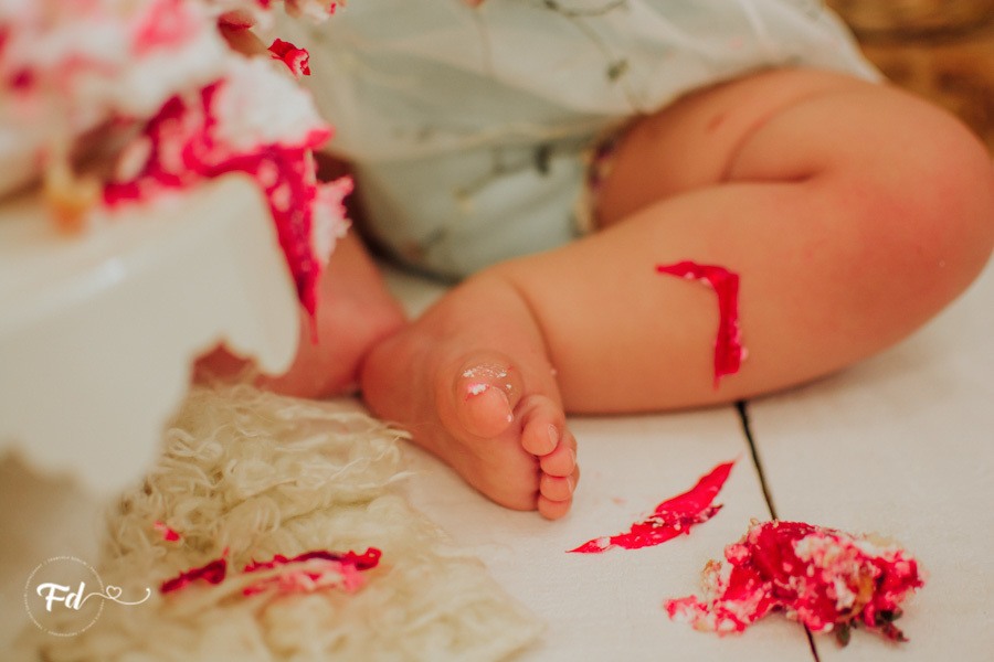 franciele duailibi photography; fotografa campo grande;  fotografia de familia ; ensaio de bebe ; smash the cake; smash the cake campo grande; ensaio de bebe campo grande; ensaio 1 ano campo grande ; fotografo de criança; ensaio estudio; ensaio flores