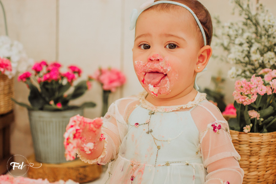 franciele duailibi photography; fotografa campo grande;  fotografia de familia ; ensaio de bebe ; smash the cake; smash the cake campo grande; ensaio de bebe campo grande; ensaio 1 ano campo grande ; fotografo de criança; ensaio estudio; ensaio flores