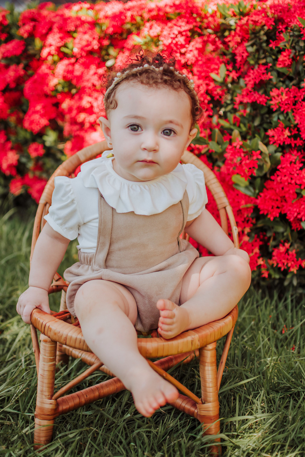 ensaio de acompanhamento de bebe; ensaio fotografico campo grande ; fotografo em campo grande; franciele duailibi photography; acompanhamento de bebe ; ensaio floricultura; campo grande ms ;  campo grande ; franciele duailibi; ensaio floricultura