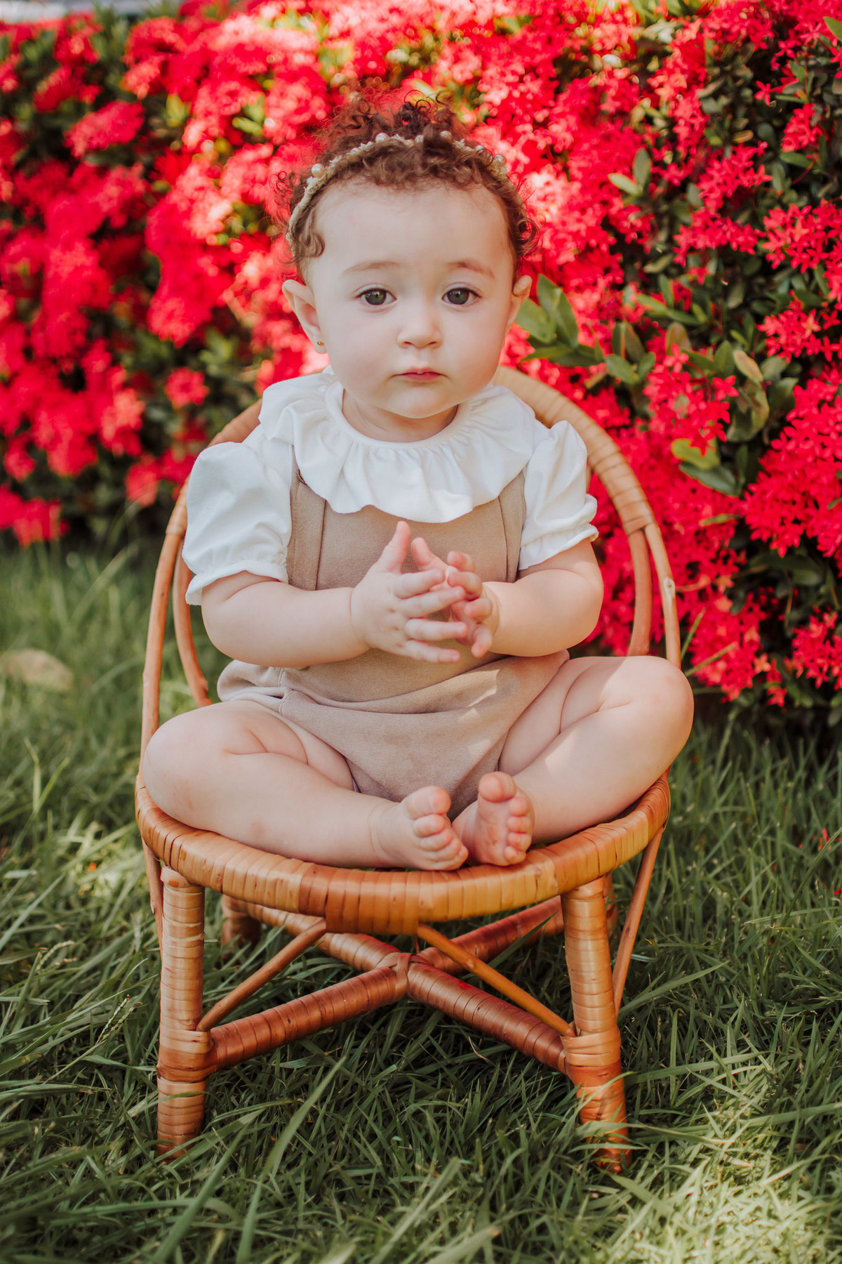 ensaio de acompanhamento de bebe; ensaio fotografico campo grande ; fotografo em campo grande; franciele duailibi photography; acompanhamento de bebe ; ensaio floricultura; campo grande ms ;  campo grande ; franciele duailibi; ensaio floricultura