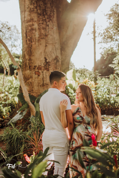 ensaio de gestante; fotos de gravida em externo; estudio de fotos em campo grande; fotos fran duailibi; fotografa campo grande; fotografo de gestante; ensaio na floricultura gravida; ensaio criativo gestante; fotos de gravida; maternidade;
