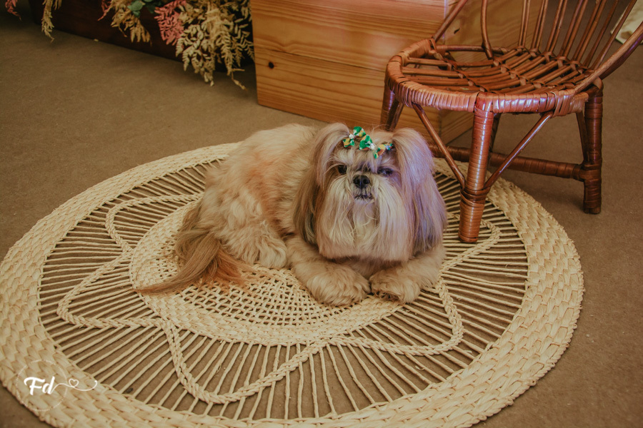 franciele duailibi photography; 
fotografo de festa infantil campo grande; campo grande;
fotografia;
decoração de festa;
buffet infantil campo grande;
fotografa de criança;
fotos de aniversario;
franciele duailibi;
fotografo de festa cg