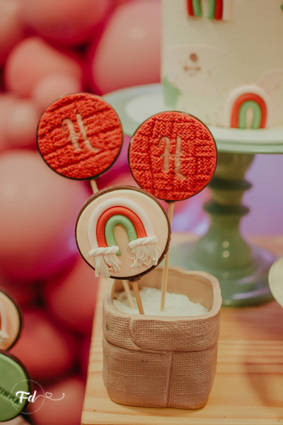 franciele duailibi photography; 
fotografo de festa infantil campo grande; campo grande;
fotografia;
decoração de festa;
buffet infantil campo grande;
fotografa de criança;
fotos de aniversario;
franciele duailibi;
fotografo de festa cg