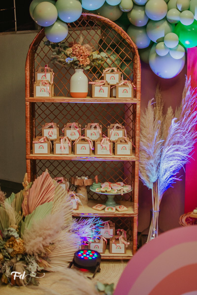 franciele duailibi photography; 
fotografo de festa infantil campo grande; campo grande;
fotografia;
decoração de festa;
buffet infantil campo grande;
fotografa de criança;
fotos de aniversario;
franciele duailibi;
fotografo de festa cg