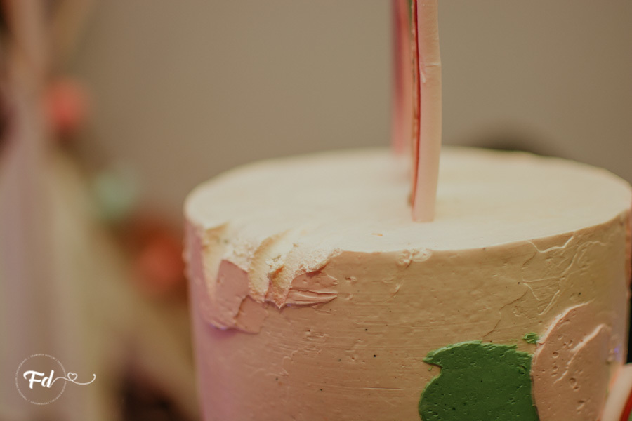 franciele duailibi photography; 
fotografo de festa infantil campo grande; campo grande;
fotografia;
decoração de festa;
buffet infantil campo grande;
fotografa de criança;
fotos de aniversario;
franciele duailibi;
fotografo de festa cg