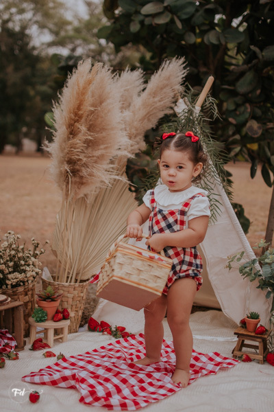 mini sessão; ensaio infantil; sessao picnic; ensaio picnic; ensaio dia das crianças; sessao moranguinho;sessao com frutinhas; fotos com morango; fotografa campo grande; fotos de bebes; maternidade; campo grande; mini ensaio; acompanhamento de bebe
